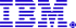 ibm.gif (3380 byte)