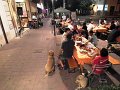 DSCF5773